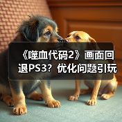 《噬血代码2》画面回退PS3?优化问题引玩家不满(图3) 《噬血代码2》画面回退PS3?优化问题引玩家不满(图3)