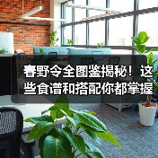 春野令全图鉴揭秘!这些食谱和搭配你都掌握了吗?(图4) 春野令全图鉴揭秘!这些食谱和搭配你都掌握了吗?(图4)