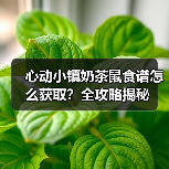 心动小镇奶茶鼠食谱怎么获取？全攻略揭秘（图1）