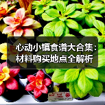 心动小镇食谱大合集：材料购买地点全解析（图2）