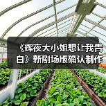 《辉夜大小姐想让我告白》新剧场版确认制作（图3）