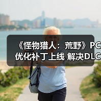 《怪物猎人：荒野》PC优化补丁上线 解决DLC检测问题提升性能（图4）