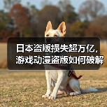 日本盗版损失超万亿，游戏动漫盗版如何破解？（图3）