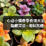 心动小镇春季食谱大全：隐藏菜谱+海鲜瓦罐汤怎么钓？（图4）