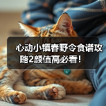 心动小镇春野令食谱攻略2颜值高必看！（图3）