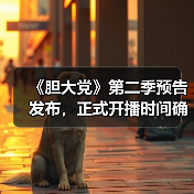 《胆大党》第二季预告发布，正式开播时间确认！（图3）
