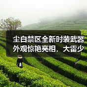 尘白禁区全新时装武器外观惊艳亮相，大雷少女娇羞造型引热议（图4）