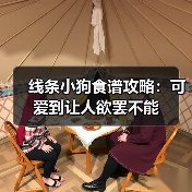 线条小狗食谱攻略：可爱到让人欲罢不能（图3）