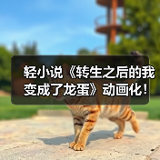 轻小说《转生之后的我变成了龙蛋》动画化！奇幻冒险即将来袭？（图4）