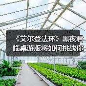 《艾尔登法环》黑夜君临桌游版将如何挑战你的协作生存？2026春季上线（图3）