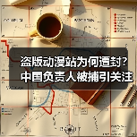 盗版动漫站为何遭封?中国负责人被捕引关注(图3) 盗版动漫站为何遭封?中国负责人被捕引关注(图3)