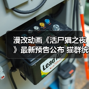 漫改动画《活尸猫之夜》最新预告公布 猫群统治世界人类如何反击?(图2) 漫改动画《活尸猫之夜》最新预告公布 猫群统治世界人类如何反击?(图2)