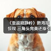 《重返寂静岭》新海报惊现 三角头完美还原引期待（图3）