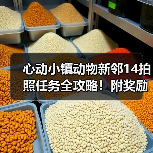 心动小镇动物新邻14拍照任务全攻略！附奖励清单与完成技巧（图4）