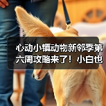 心动小镇动物新邻季第六周攻略来了!小白也能轻松完成任务(图2) 心动小镇动物新邻季第六周攻略来了!小白也能轻松完成任务(图2)