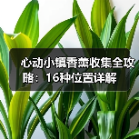 心动小镇香薰收集全攻略:16种位置详解(图4) 心动小镇香薰收集全攻略:16种位置详解(图4)