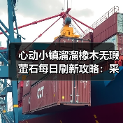 心动小镇溜溜橡木无瑕萤石每日刷新攻略：采集条件及获取方法（图4）