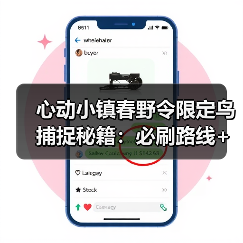 心动小镇春野令限定鸟捕捉秘籍：必刷路线+隐藏区域全攻略（图2）