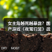 女主角越死越暴露?国产游戏《夜莺归笼》战斗机制引争议(图2) 女主角越死越暴露?国产游戏《夜莺归笼》战斗机制引争议(图2)
