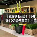 《疯狂动物城2》19天破10亿美元票房!中国贡献超半数引热议(图4) 《疯狂动物城2》19天破10亿美元票房!中国贡献超半数引热议(图4)