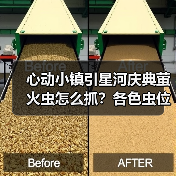 心动小镇引星河庆典萤火虫怎么抓？各色虫位置全揭秘！