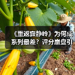 《重返寂静岭》为何成系列最差?评分崩盘引争议(图4) 《重返寂静岭》为何成系列最差?评分崩盘引争议(图4)