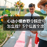 心动小镇春野令限定鸟怎么找？5个位置全攻略（图2）