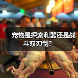 宠物是探索利器还是战斗双刃剑?(图1) 宠物是探索利器还是战斗双刃剑?(图1)