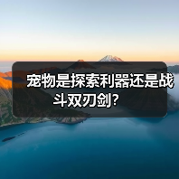 宠物是探索利器还是战斗双刃剑?(图3) 宠物是探索利器还是战斗双刃剑?(图3)