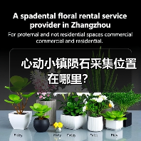 心动小镇陨石采集位置在哪里？（图3）