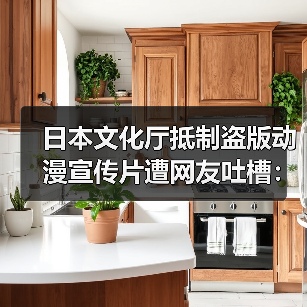 日本文化厅抵制盗版动漫宣传片遭网友吐槽:先解决眼前问题!(图4) 日本文化厅抵制盗版动漫宣传片遭网友吐槽:先解决眼前问题!(图4)