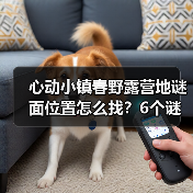 心动小镇春野露营地谜面位置怎么找?6个谜面全解析(图3) 心动小镇春野露营地谜面位置怎么找?6个谜面全解析(图3)