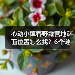心动小镇春野露营地谜面位置怎么找?6个谜面全解析(图4) 心动小镇春野露营地谜面位置怎么找?6个谜面全解析(图4)