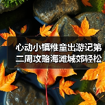 心动小镇稚童出游记第二周攻略海滩城郊轻松拿表情(图3) 心动小镇稚童出游记第二周攻略海滩城郊轻松拿表情(图3)