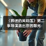 《葬送的芙莉莲》第二季导演退出原因曝光：跟不上节奏了
