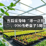 五载金身铸“唯一正统”,996传奇盒子5周年:万境归盒,传奇不灭(图2) 五载金身铸“唯一正统”,996传奇盒子5周年:万境归盒,传奇不灭(图2)