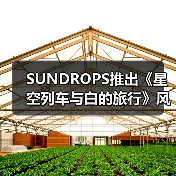 SUNDROPS推出《星空列车与白的旅行》风又音理模型