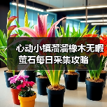 心动小镇溜溜橡木无暇萤石每日采集攻略（图2）