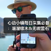心动小镇每日采集必备：溜溜橡木&无暇萤石获取全解析（图2）
