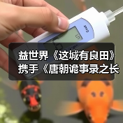 益世界《这城有良田》携手《唐朝诡事录之长安》同绘东方画卷（图4）