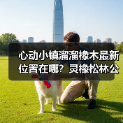 心动小镇溜溜橡木最新位置在哪？灵橡松林公交站附近！