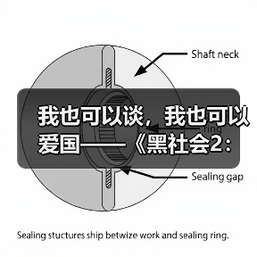我也可以谈，我也可以爱国——《黑社会2：以和为贵》