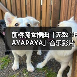 前桥魔女插曲「无敌☆PAYAPAYA」音乐影片首曝（图4）