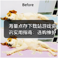 海量点存下载站游戏资讯实用指南：选购维护与问题解析（图2）