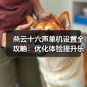 燕云十六声单机设置全攻略:优化体验提升乐趣(图4) 燕云十六声单机设置全攻略:优化体验提升乐趣(图4)