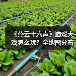 《燕云十六声》猫戏犬戏怎么玩?全地图分布解析(图3) 《燕云十六声》猫戏犬戏怎么玩?全地图分布解析(图3)