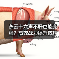 燕云十六声不肝也能变强？高效战力提升技巧分享（图4）