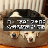 真人“索隆”新田真剑佑卡牌赛夺8强?背后竟有尾田签名?(图3) 真人“索隆”新田真剑佑卡牌赛夺8强?背后竟有尾田签名?(图3)