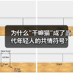 为什么 为什么