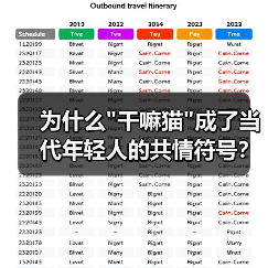 为什么 为什么